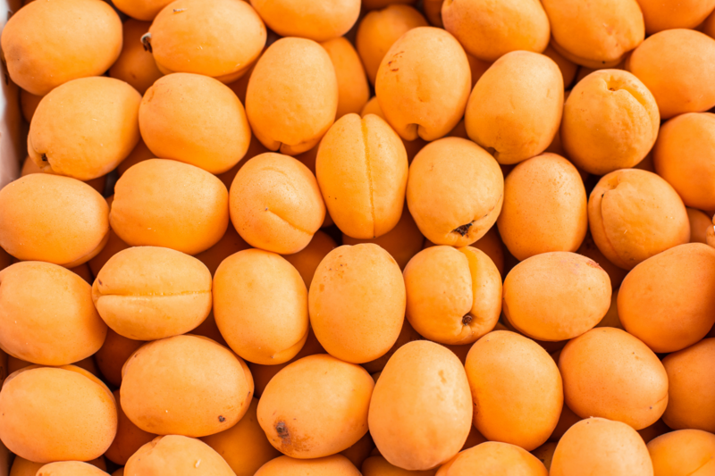 Apricots