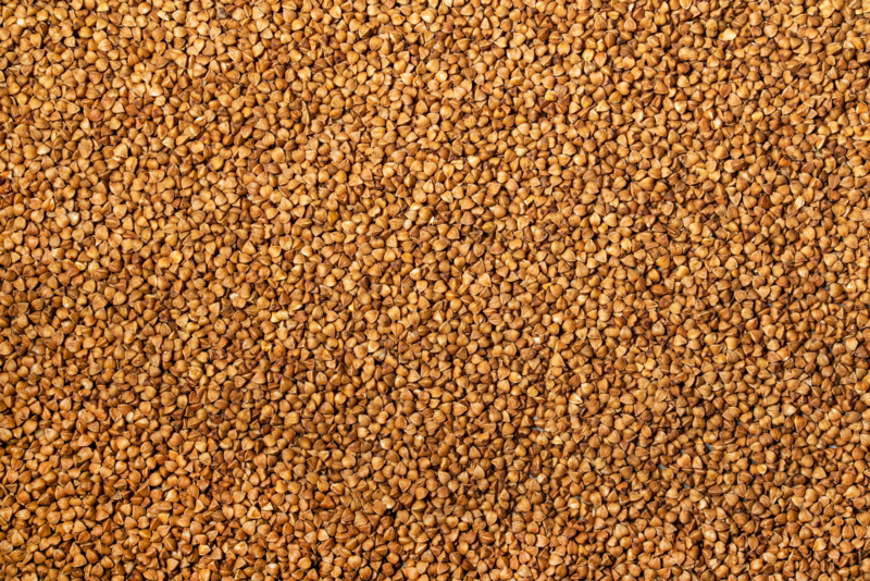 Fenugreek