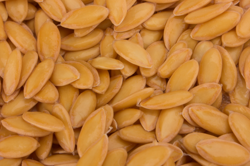 Melon Seeds
