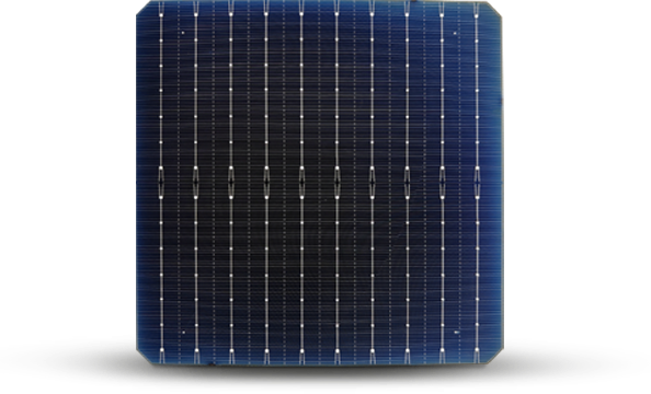 Bifacial Mono PERC Cell